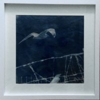 Freedom
cyanotype and pastel on canvas
30cmx30cm £180 framed